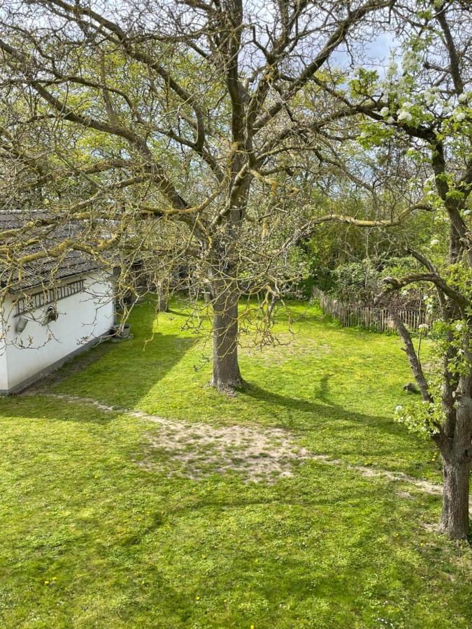 Kleines Haus Am Feld Villa Rehna Bagian luar foto