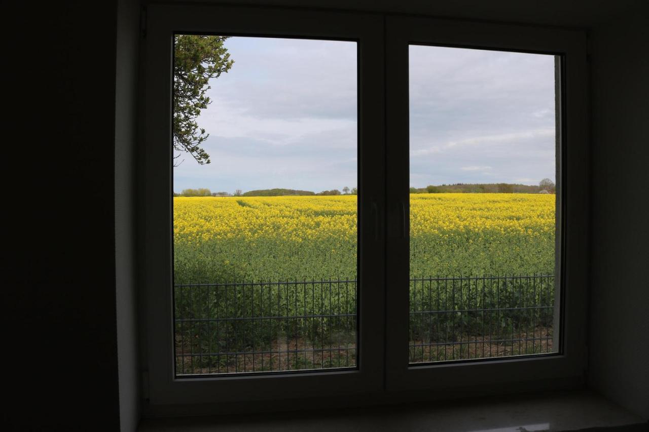 Kleines Haus Am Feld Villa Rehna Bagian luar foto