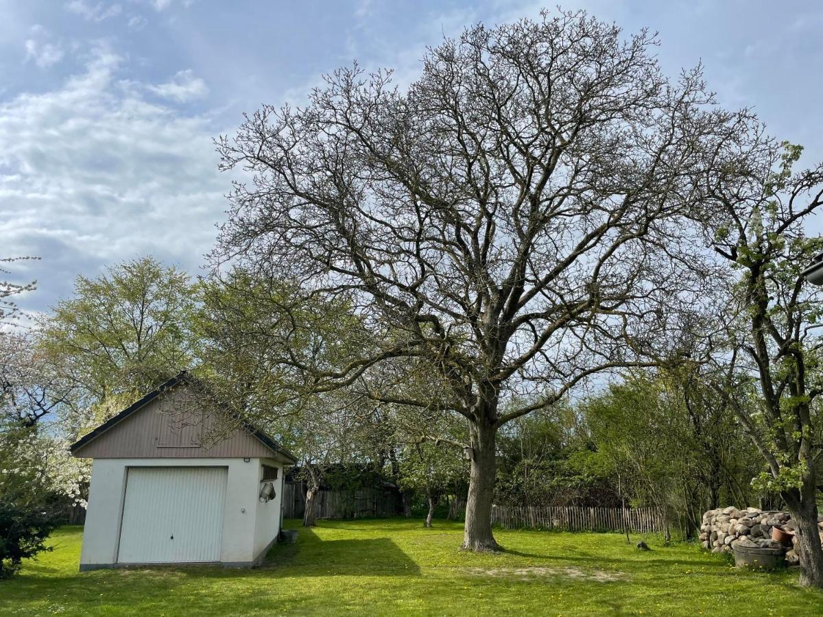 Kleines Haus Am Feld Villa Rehna Bagian luar foto