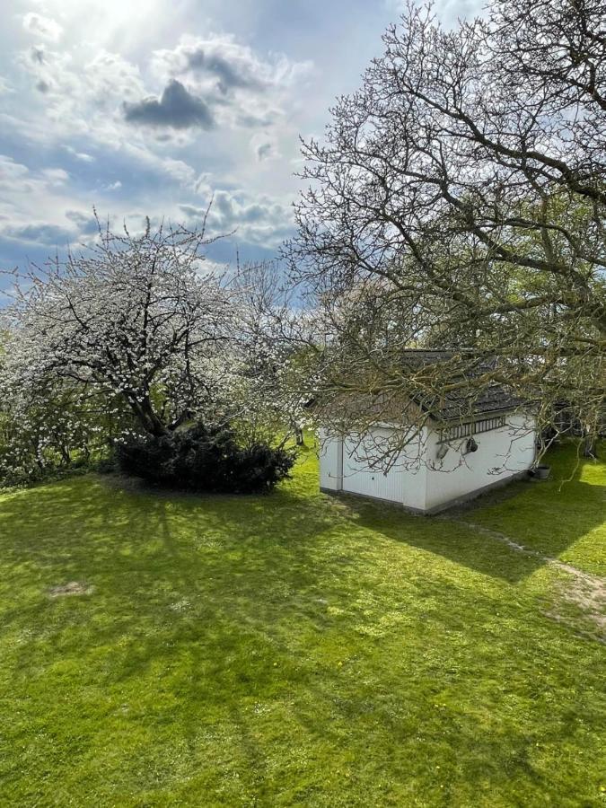 Kleines Haus Am Feld Villa Rehna Bagian luar foto